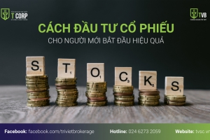  CÁCH ĐẦU TƯ CỔ PHIẾU CHO NGƯỜI MỚI BẮT ĐẦU HIỆU QUẢ 